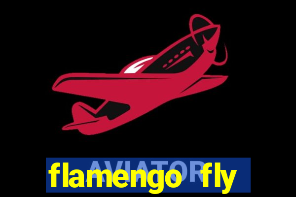 flamengo fly emirates ultimas noticias